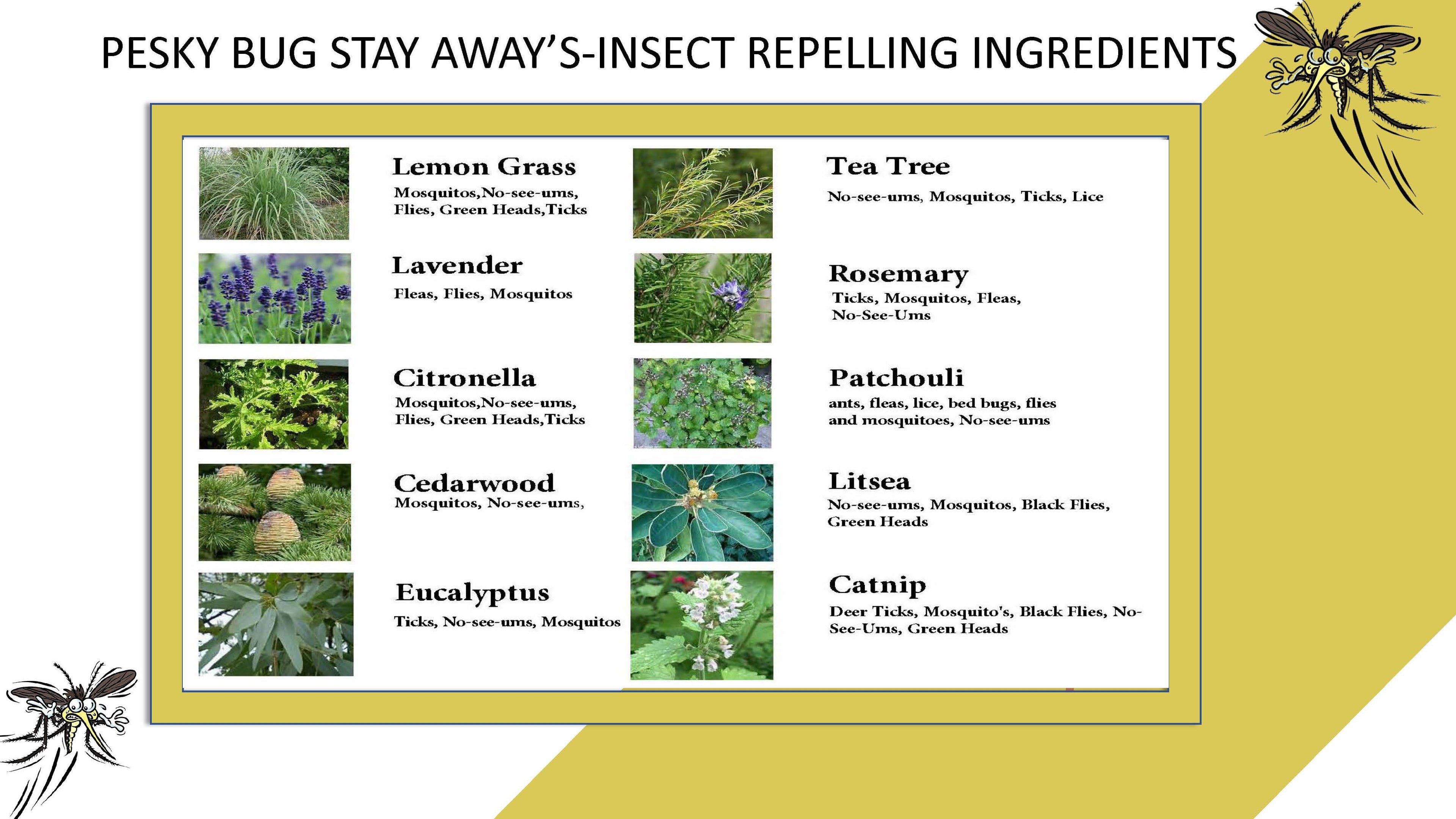 A PESKY® Bug Stay Away Spray and Natural Hydrating Skin Moisturizer