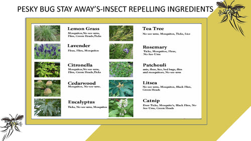 A PESKY®BUG AWAY - ALL IN ONE OUTDOOR SKIN SOLUTION WITH NON-NANO ZINC OXIDE